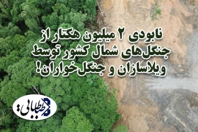 نابودی ۲ میلیون هکتار از جنگل‌های شمال کشور توسط ویلاسازان و جنگل‌خواران!